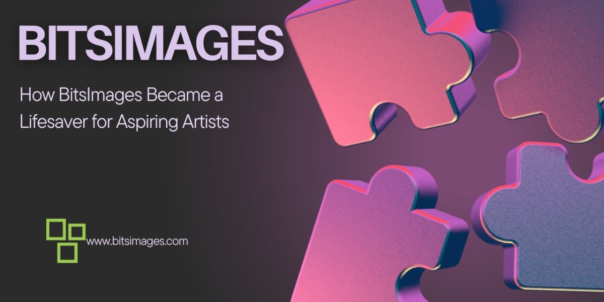 Empowering Creatives: How BitsImages Became a Lifesaver for Aspiring Artists