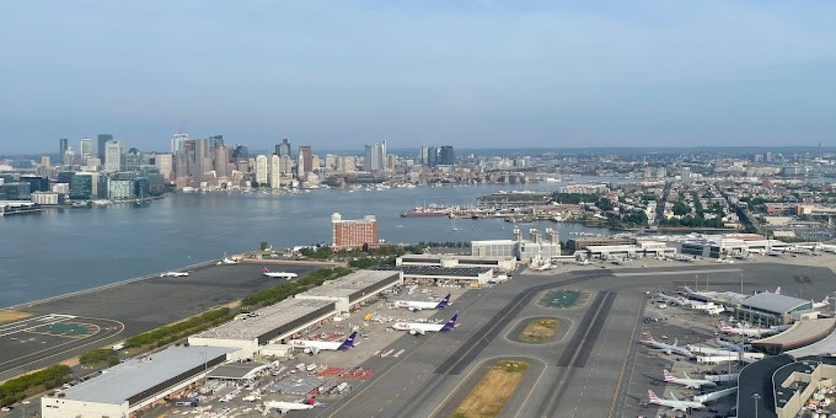 Pet-Friendly Spirit Airlines Routes from Boston Logan Terminal