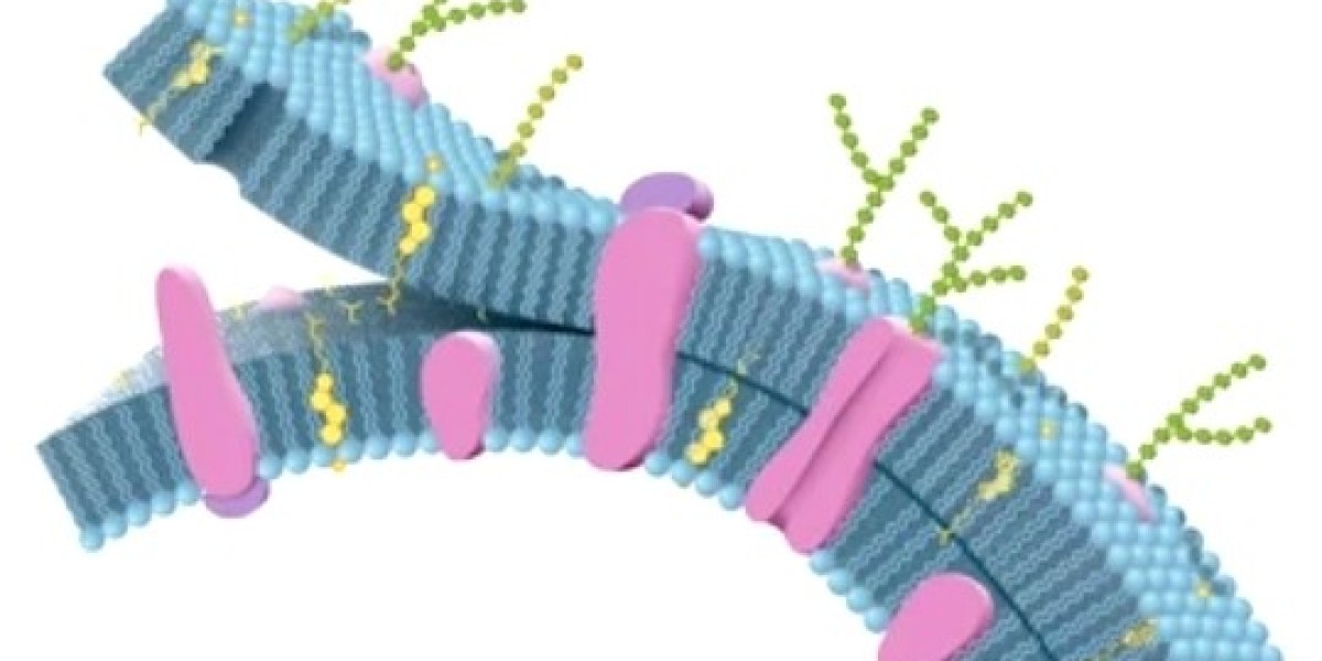 Exploring the Role and Potential of Membrane Proteins in Disease