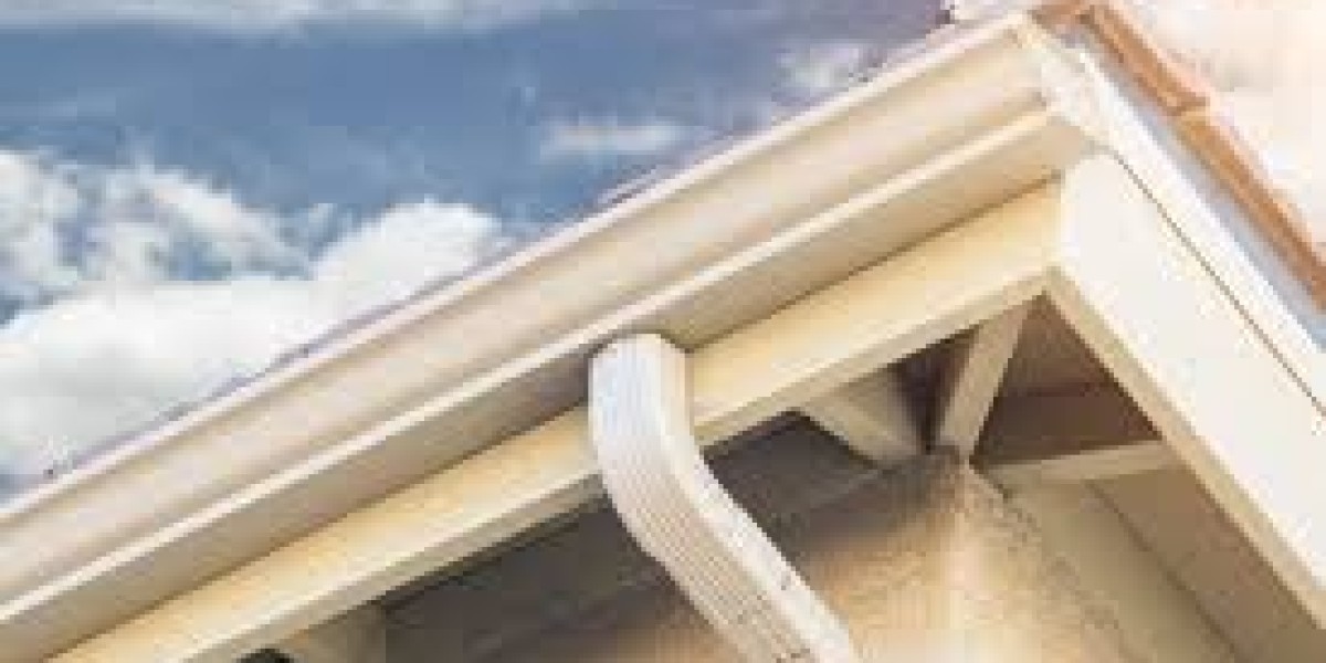 Western Sydney Gutter Cleaning Experts: Keep Your Home Safe