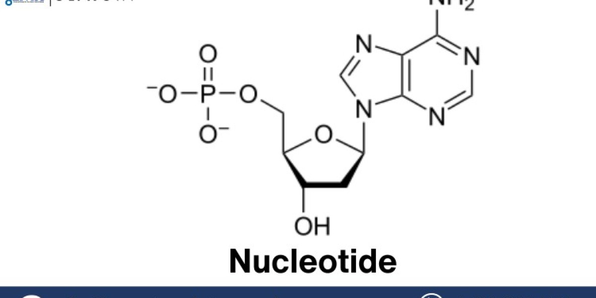 Nucleotide Price Forecast Report